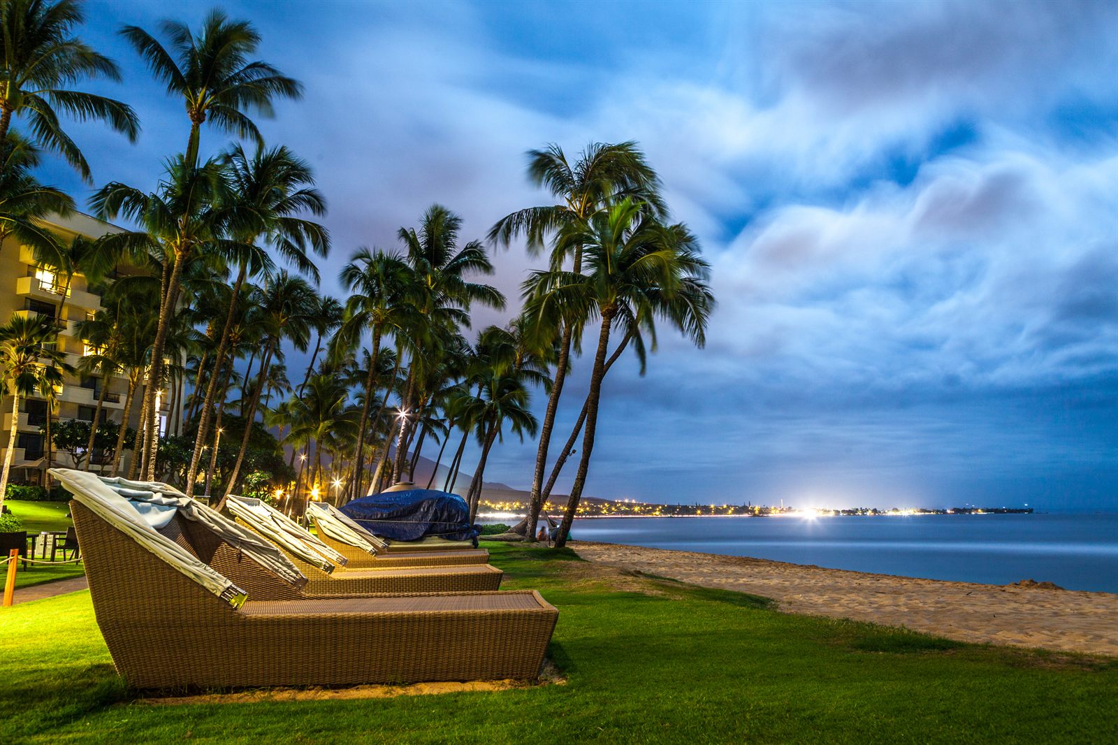 Two padded loungers under palm trees beside the sea at twilight