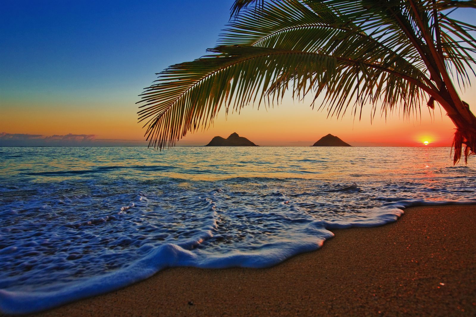 Sunset over a tropical beach framed by palm fronds, with two small islands offshore